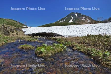 小川と残雪の羅臼岳