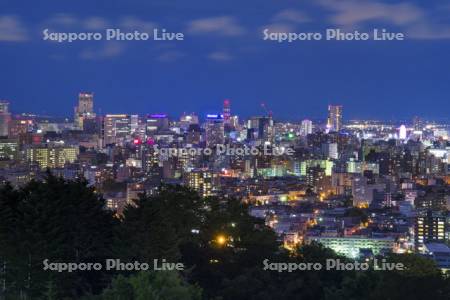 旭山記念公園より望む札幌市街の夜景