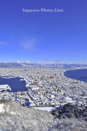 函館山展望台から雪の市街