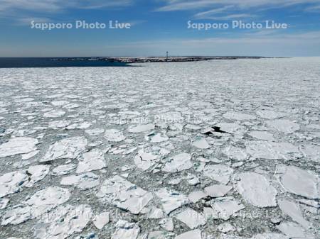 納沙布岬の流氷
