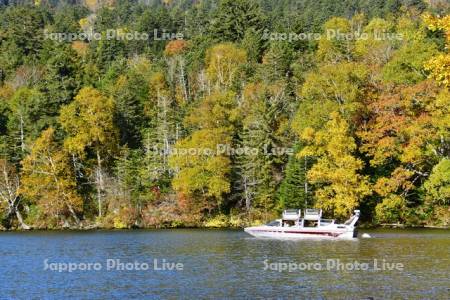 阿寒湖滝口の紅葉とモーターボート