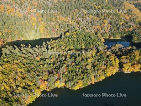 次郎湖・太郎湖と滝口の紅葉　空撮