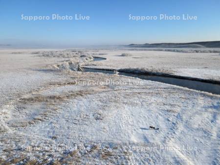 霧氷の釧路湿原とエゾシカ