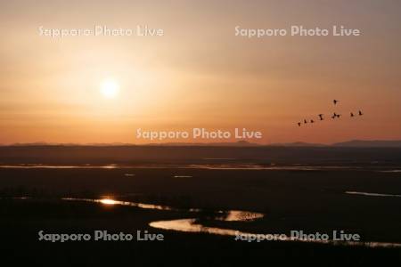 釧路湿原の夕日と渡り鳥