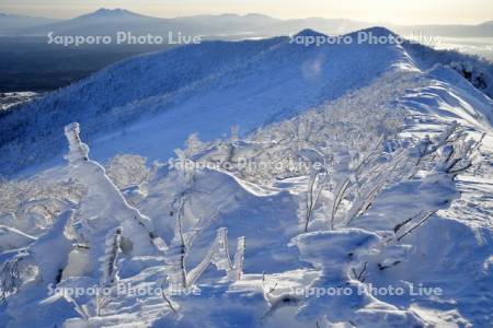 藻琴山の樹氷
