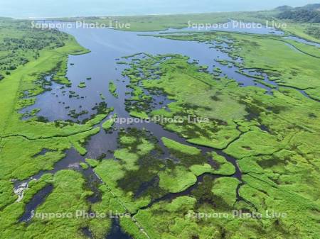 夏のパシクル沼空撮