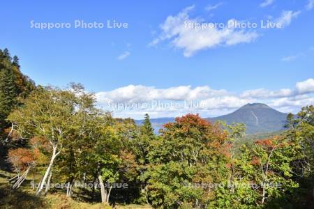 阿寒湖白湯山の紅葉