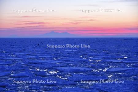 夜明けの羅臼沖流氷