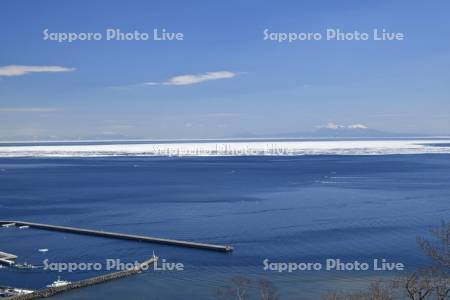 羅臼漁港と流氷