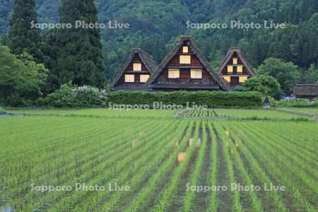 白川郷