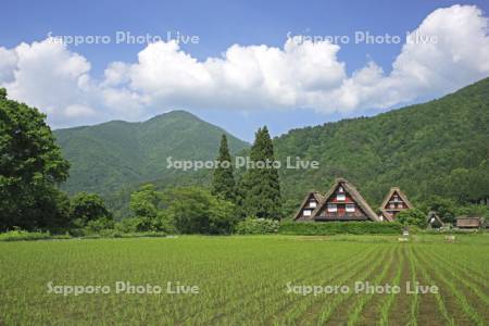 白川郷