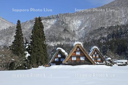 白川郷