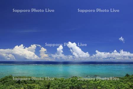 玉取崎展望台から石垣島のサンゴ礁の海
