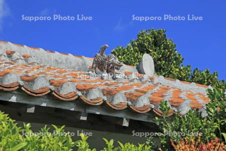 竹富島の赤瓦屋根とシーサー