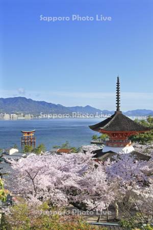 宮島の厳島神社の大鳥居と多宝塔