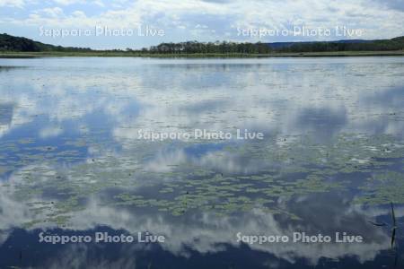 雲を映しだす釧路湿原のシラルトロ湖