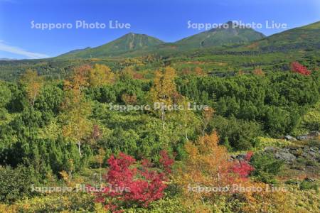 大雪山の望岳台の紅葉と美瑛岳と美瑛富士