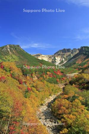 大雪山の十勝岳温泉の紅葉と上ホロカメットク山