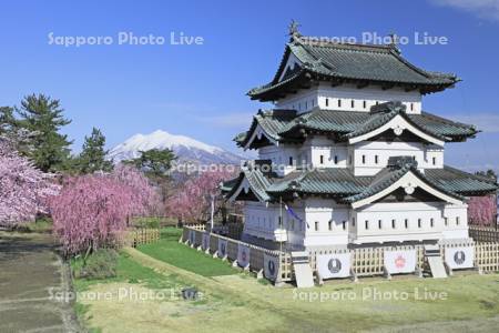 弘前公園の桜と弘前城と岩木山