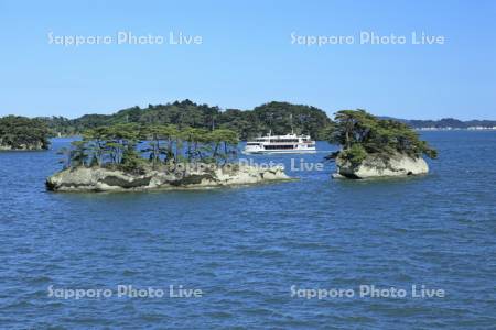 松島と観光船