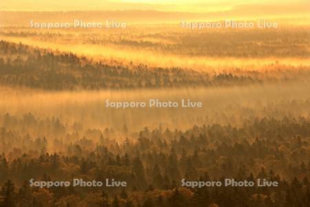 三国峠から朝霧の森