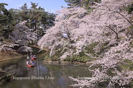 弘前城の桜と濠の和船