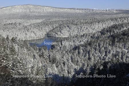 双湖台から雪の原生林とペンケトー