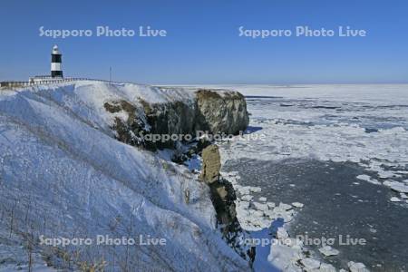 能取岬の灯台と流氷