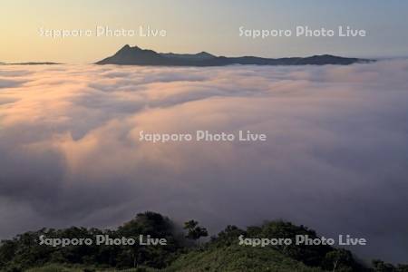 朝焼けの霧の摩周湖と摩周岳