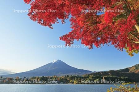 河口湖の紅葉と富士山・世界遺産