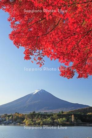 河口湖の紅葉と富士山・世界遺産