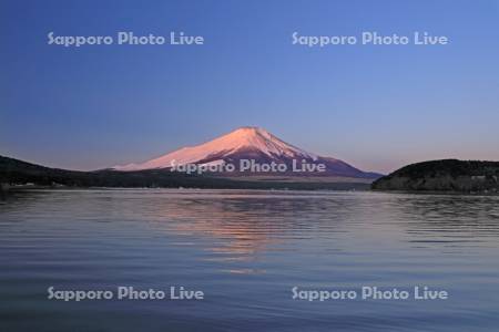 山中湖から朝焼けの富士山　世界遺産