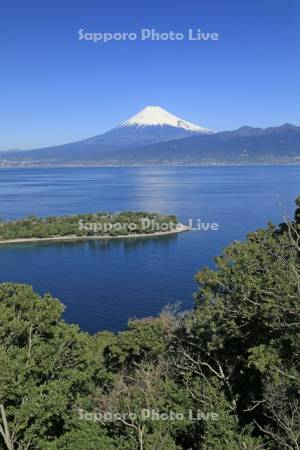 西伊豆から大瀬崎と富士山　世界遺産
