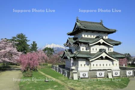 弘前公園の桜と弘前城と岩木山