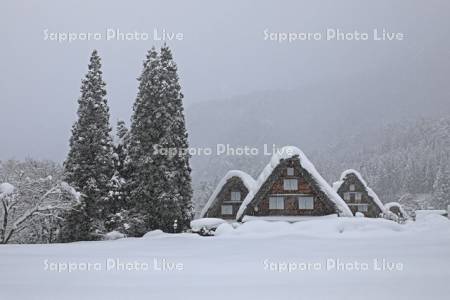 雪降る白川郷の合掌造りの家　世界遺産