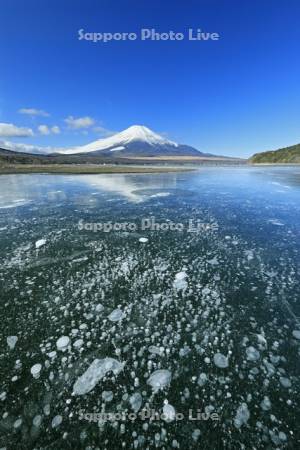 山中湖のアイスバブルと富士山　世界遺産