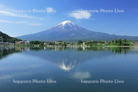新緑の河口湖から富士山