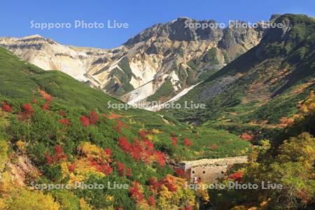 十勝岳温泉の紅葉と上ホロカメットク山