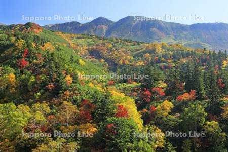 十勝岳温泉の紅葉と三峰山