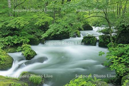 奥入瀬渓流の阿修羅の流れ　