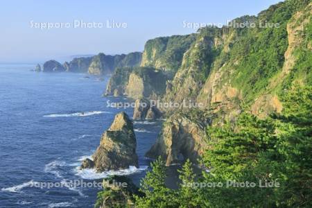 第二展望台から夏の北山崎の断崖