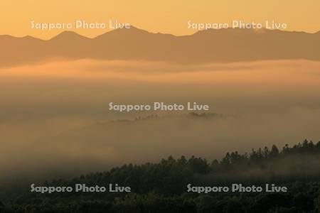 朝霧の丘と十勝岳連峰