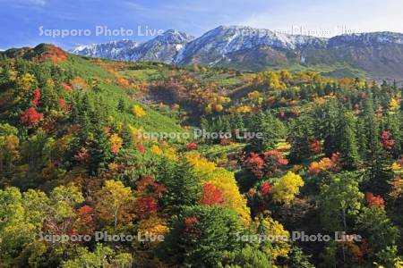 十勝岳温泉の紅葉と三峰山