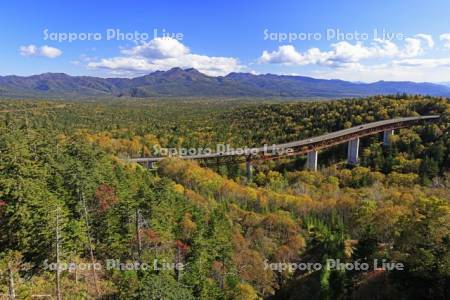 三国峠の紅葉と松見大橋（R273）