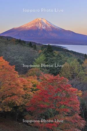 二十曲峠展望テラスより朝焼けの富士山と紅葉　世界遺産