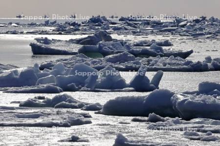 オホーツク海の流氷とホタテ漁船