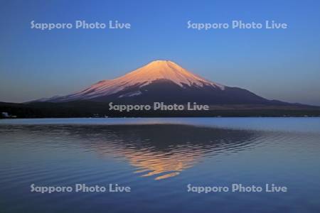 山中湖から朝焼けの逆さ富士山・世界遺産