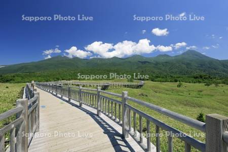 高架木道から知床連峰・世界遺産