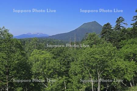 双岳台付近より雄阿寒岳と雌阿寒岳