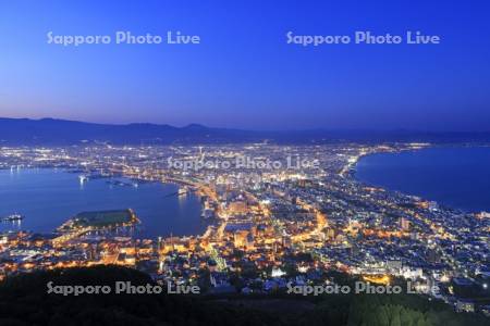 函館山から函館の夜景